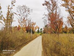 -白鹭湾湿地公园