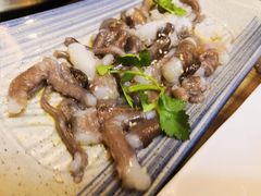 -东海章鱼馆(恒瑞街店)