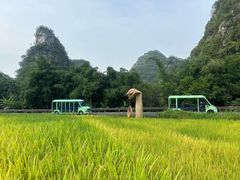 -万峰林风景区