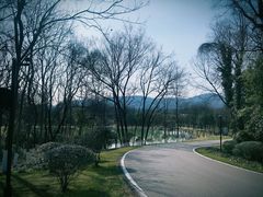 -金陵矩阵(聚宝山公园店)