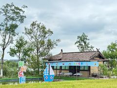 -杭州湾海上花田景区