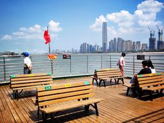 -武汉关码头(轮渡站)