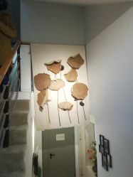 设施-酉嘉瑜伽YO+YOGA