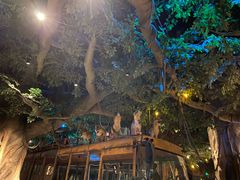 -杭州开元森泊度假乐园