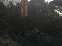 -杭州黄龙洞