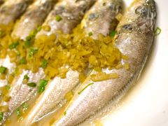 东海小黄鱼-骏莱海鲜鱼港(五角场店)