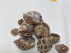 -杨记海鲜楼(三门黑金冠店)