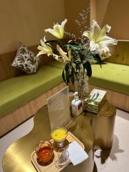 -隐逸SPA
