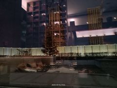 -长春凯悦酒店-品悦中餐厅