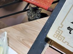 -螺大蛳柳州螺蛳粉·火锅·热干面(西城永捷店)