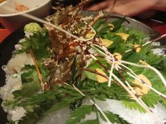 -初花·日本料理