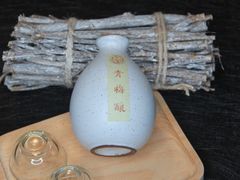 青梅酿-狐狸爱上椰子鸡(滨江星光大道店)
