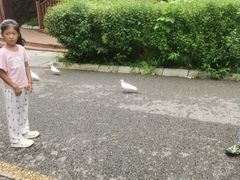 -燕塞湖鸟语林景区