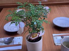 -CURRY YA 熟成咖哩專門店(深圳湾万象城店)