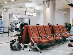 -威海大水泊国际机场