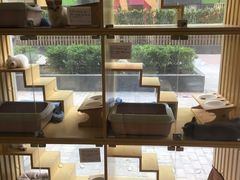 橱窗-Double Rui宠物酒店