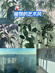 -HEYAN荷妍专业脱毛连锁机构