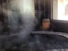 -弘安丽水温泉酒店