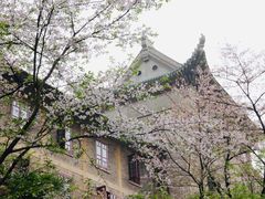 -武汉大学-樱园
