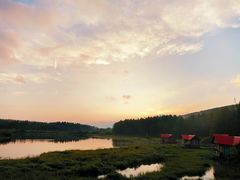 -塞罕坝国家级自然保护区