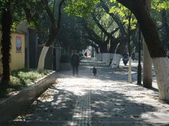 -颐和路民国时期公馆风貌区