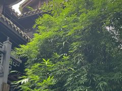 -阳明祠