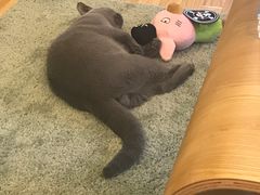 -壹人壹像工作室(购物公园店)