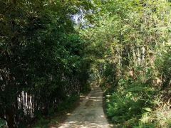 -彩虹桥宠物火化殡葬善终服务(金乐大厦店)