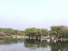 -百脉泉景区