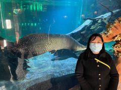 -华夏文旅海洋公园