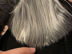 -萌兽医馆·眼科·异宠专科(三里屯店)