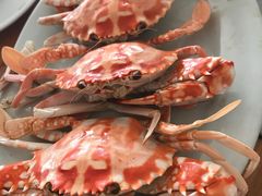 -常来老白莲鹅饭店(老城店)