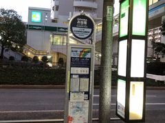 -台场海滨公园船码头