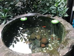 -白鹭原茶艺馆