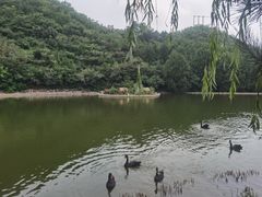 -静之湖度假区