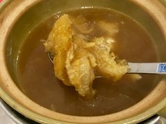 鱼翅-大中鱼翅 Taitong Shark Fin
