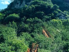 -大岭沟猕猴桃谷风景区