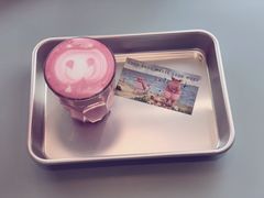 -WHEN PIGS FLY当猪飞