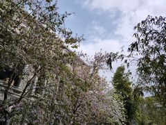 -荔湾湖公园