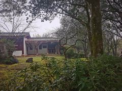 -九曲溪竹筏码头