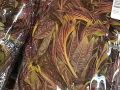 -泉州丰泽新华都百货(丰泽广场店)