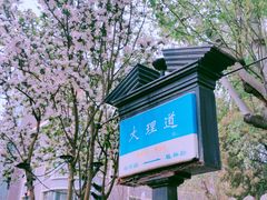 -睦南公园