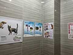-瑞派名望志远动物医院·猫科·內科·异宠专科(直港大道店)