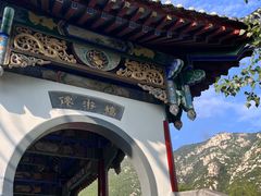 -禅宗少林·音乐大典