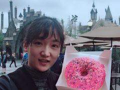-好莱坞环球影城