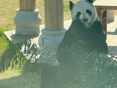 -无锡动物园·太湖欢乐园
