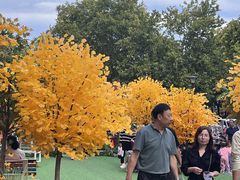 -西北轻工批发市场