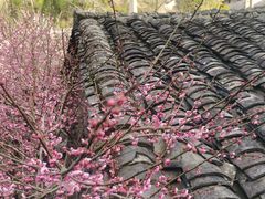 -MOJ coffee(瓯海泽雅水碓坑店)