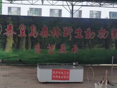 -秦皇岛野生动物园