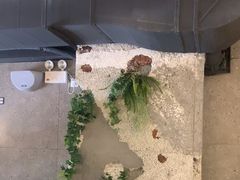 -CHILL Pho澳洲牛肉越南粉(佛山顺德万象汇店)